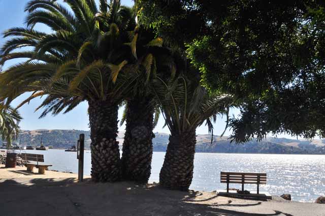 Benicia waterside